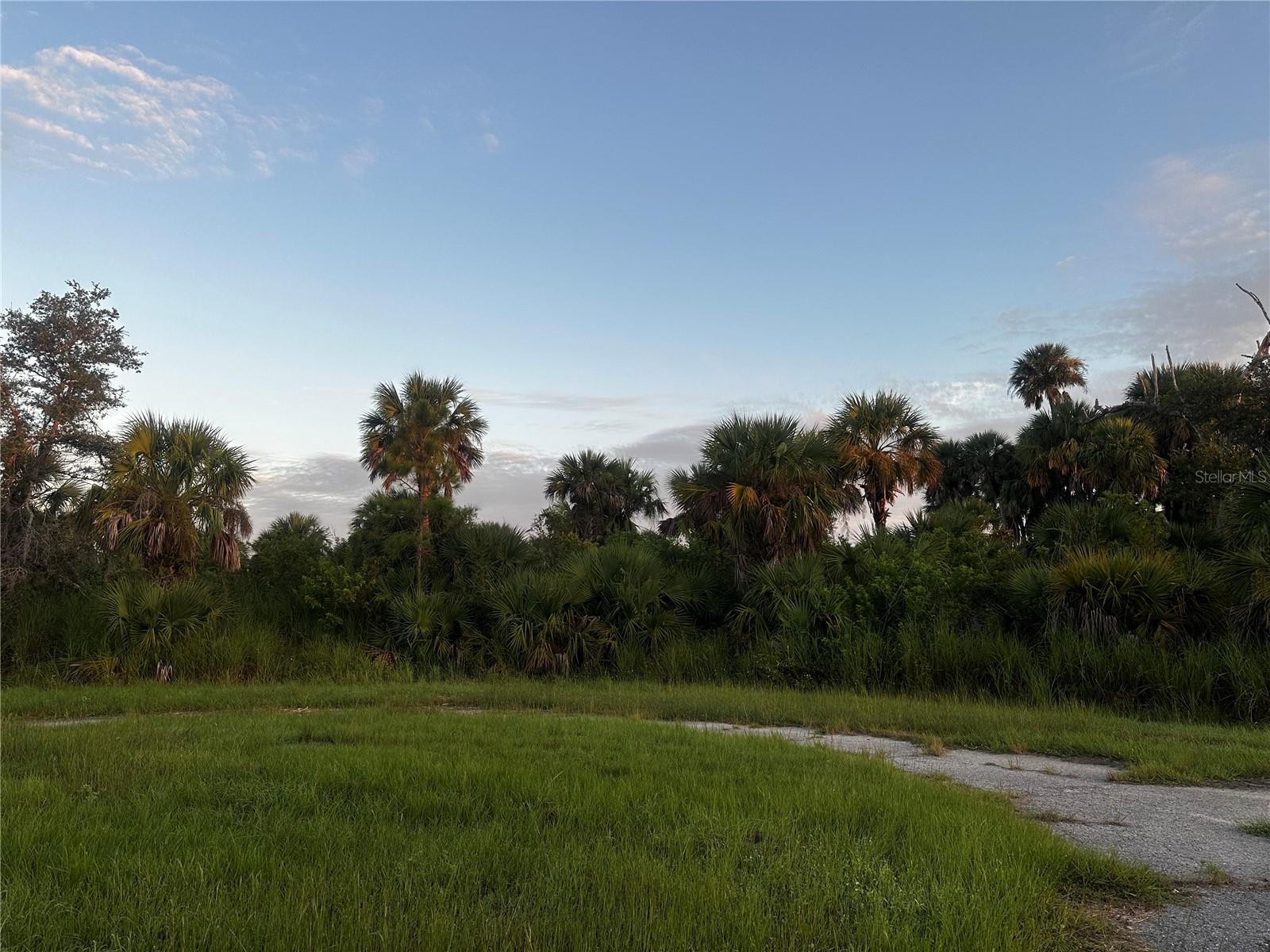 Oversized cul-de-sac lot with no HOA and no build timeline.
This is the kind of land buyers hold onto.

Tucked at the end of Dune Court, this residential parcel offers something that’s getting harder to find in North Port… privacy, low traffic, and extra space without being pushed too far out.

The cul-de-sac location naturally limits through traffic, making it a stronger long-term hold and more desirable for future resale when development continues to fill in.

No HOA. No required timeframe to build. No pressure to rush a decision.
Buy now, build later, or hold as North Port continues to expand.

Conveniently located near major roadways, shopping, dining, and everyday essentials, while still feeling removed enough to maintain a quiet setting.

This area is actively growing, and lots like this don’t stay overlooked forever.

Please note: utilities are not currently available in this area. Buyer to verify future development plans, zoning, and land use with the City of North Port.