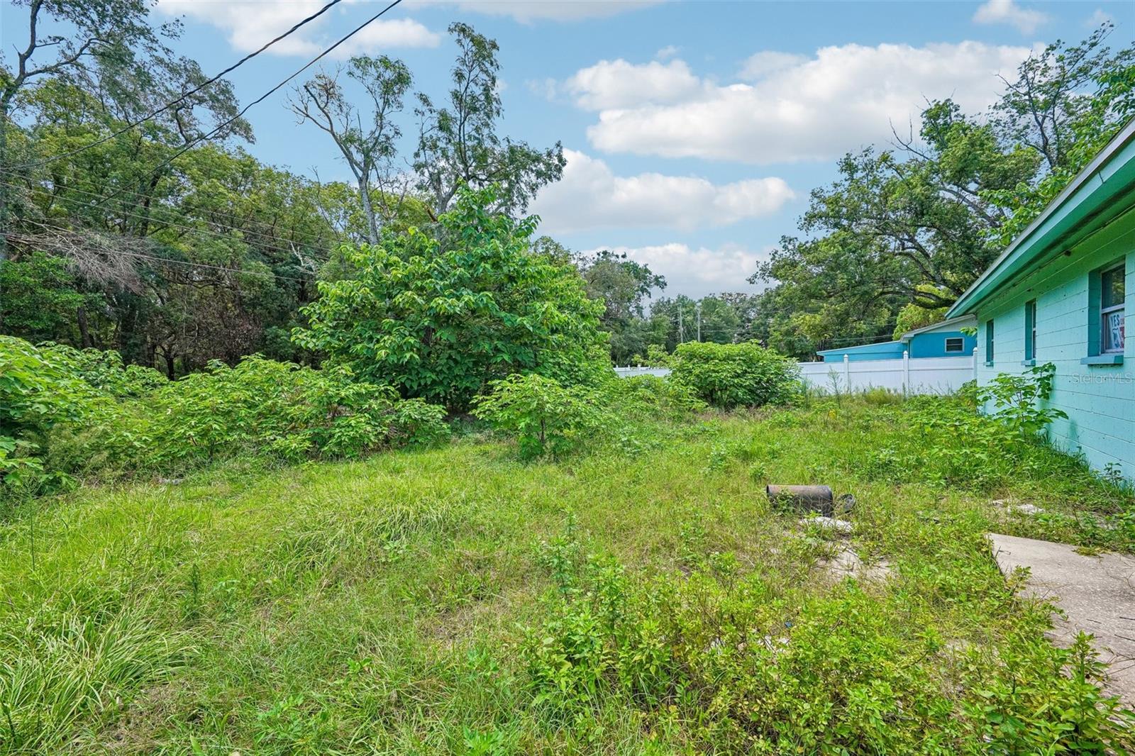 WILSON HEIGHTS - Residential