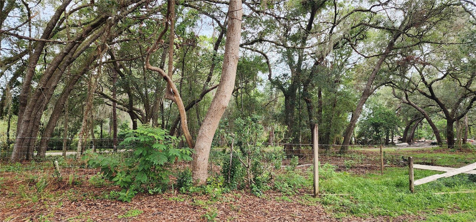ORANGE CITY DELAND FARMS - Residential
