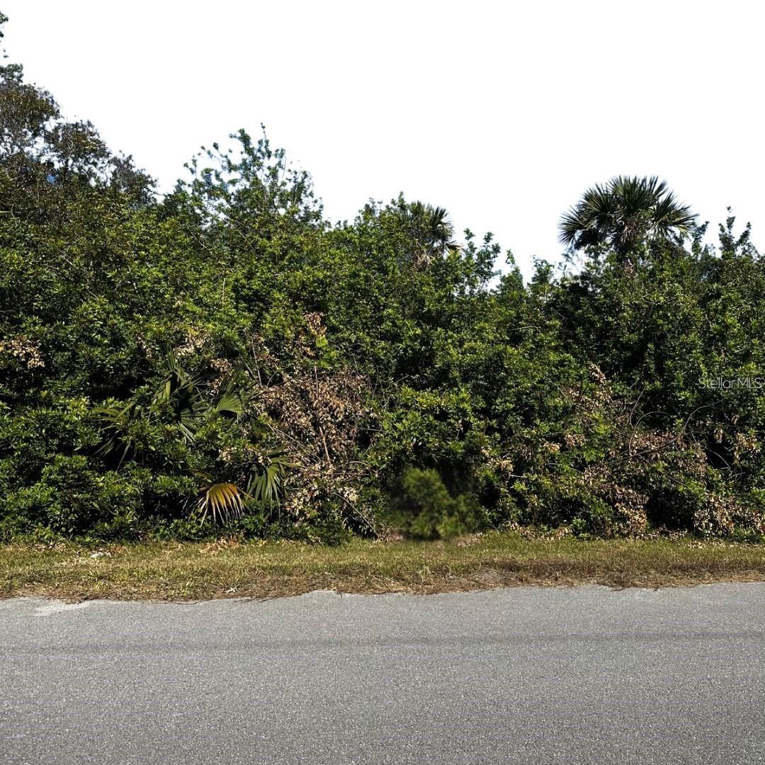 Great opportunity to own over 1.59 acres of land in the desirable Golden Gates Estates, located in Naples. Golden Gate Estates is a quiet and
peaceful area with no HOA restrictions, where you can have boats, RVs, motorhomes, and much more, but yet minutes away from World Famous
Gulf Beaches, numerous Dining options, A-rated schools, shopping, and more. This growing neighborhood is a fantastic investment opportunity
and now is the ideal time to become a part of this thriving community. This property has mature trees on it. This lot Measures approximately 105
wide by 660 deep and is located on 38th Ave SE and Desoto Blvd. The listing is for land-only and comes as-Is. Street addresses can be for listing
purposes only and vacant land will receive a true street address once improved. Don't miss this opportunity.