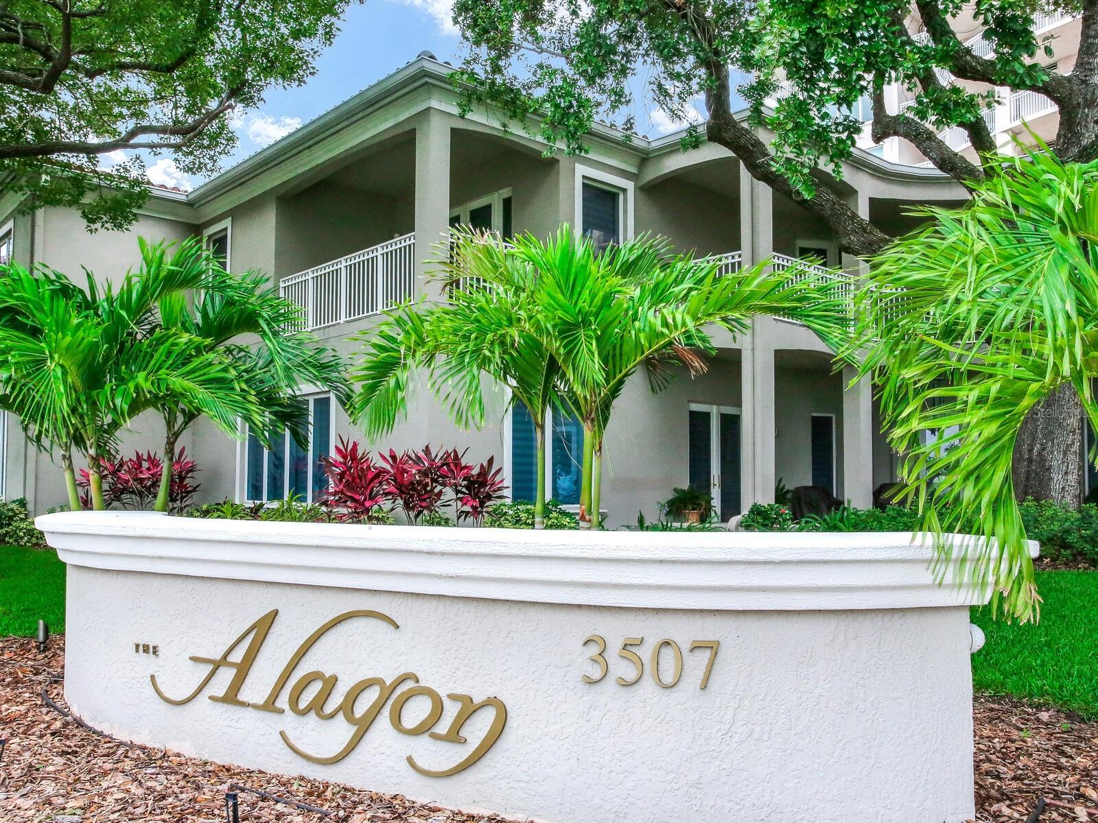 THE ALAGON ON BAYSHORE A CONDO - Residential