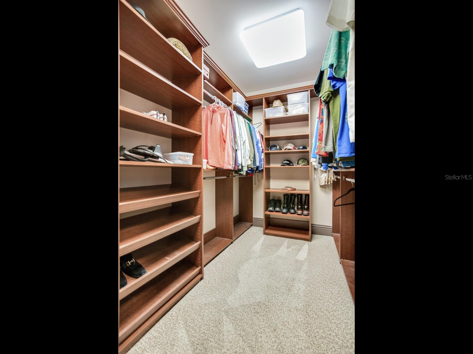 THE ALAGON ON BAYSHORE A CONDO - Residential