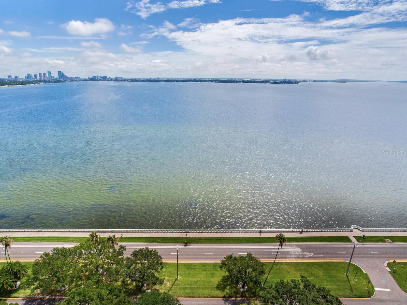 THE ALAGON ON BAYSHORE A CONDO - Residential