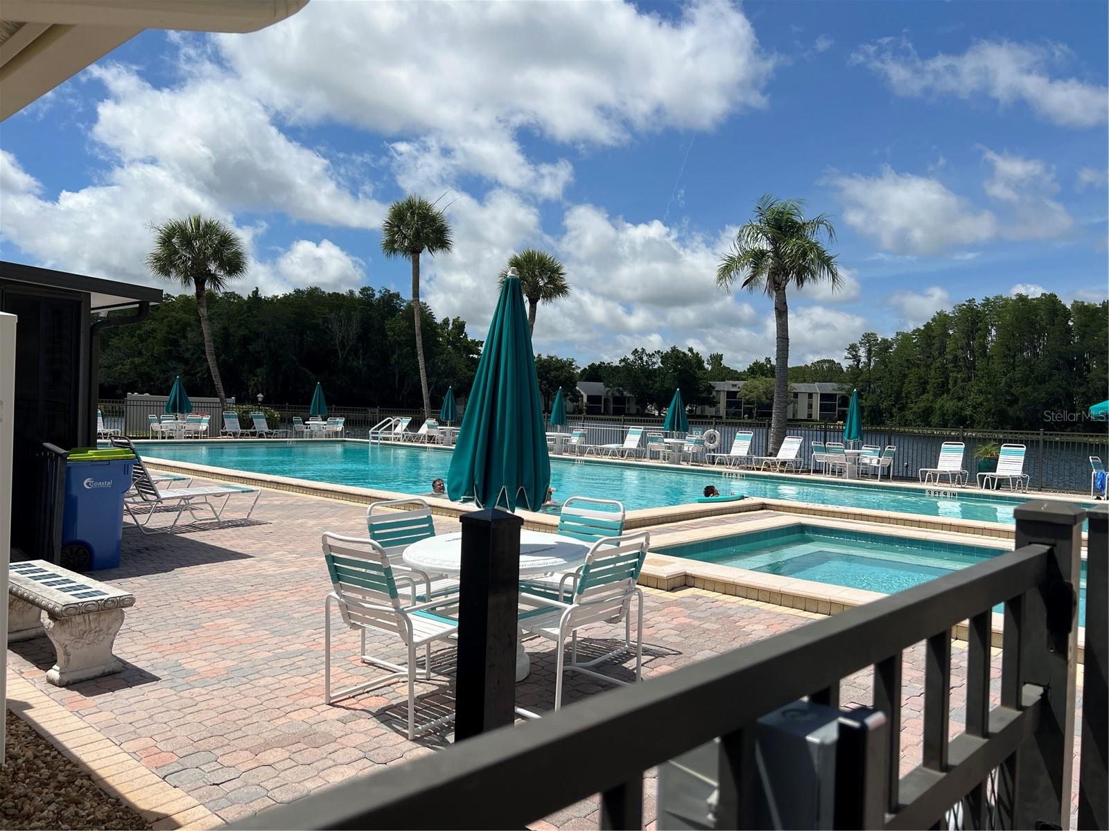 PINE RIDGE AT LAKE TARPON VILLAGE - Residential