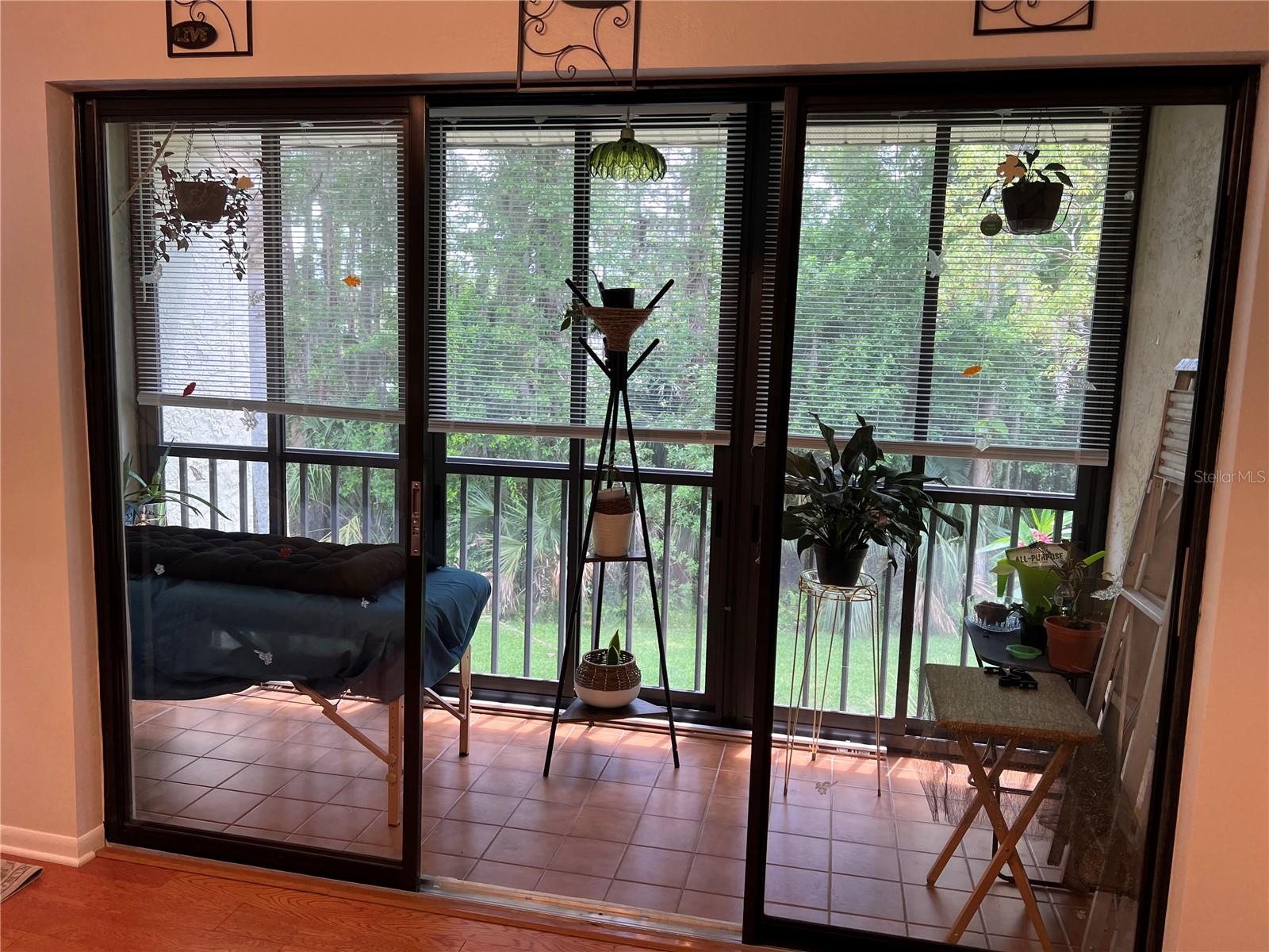 PINE RIDGE AT LAKE TARPON VILLAGE - Residential