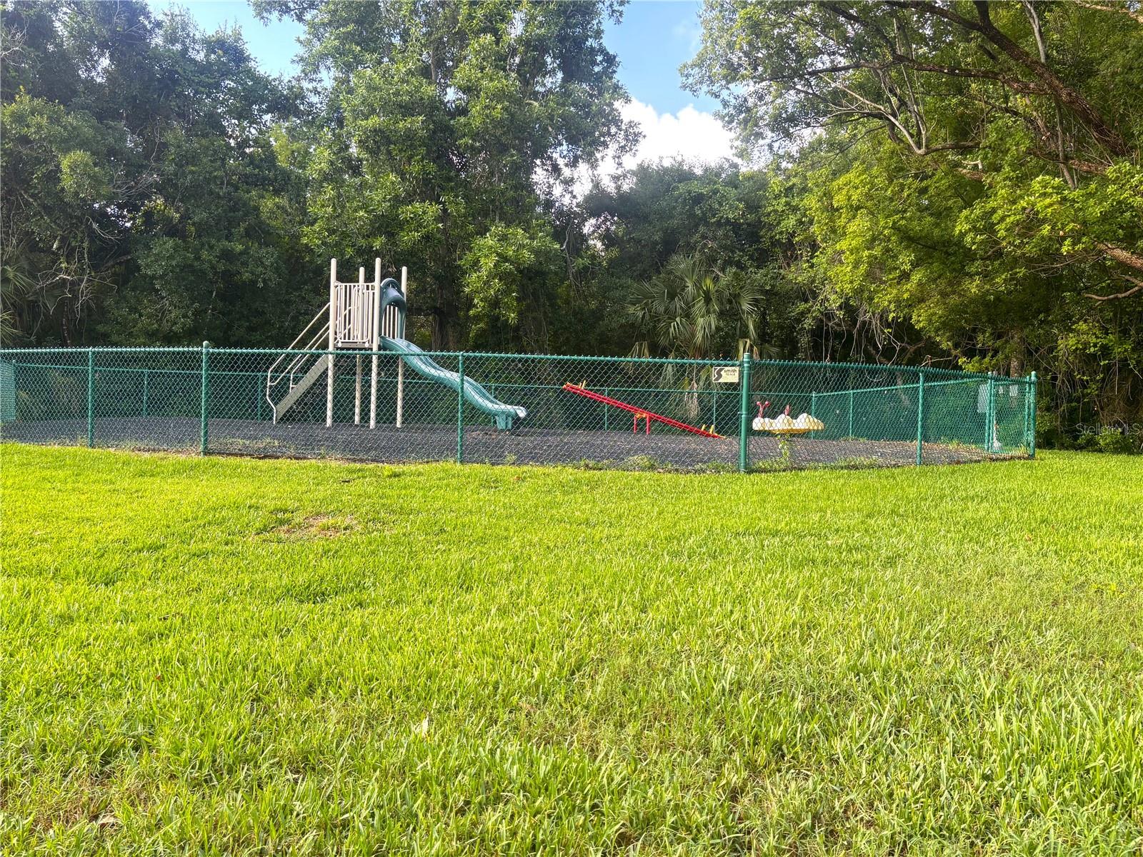 PINE RIDGE AT LAKE TARPON VILLAGE - Residential