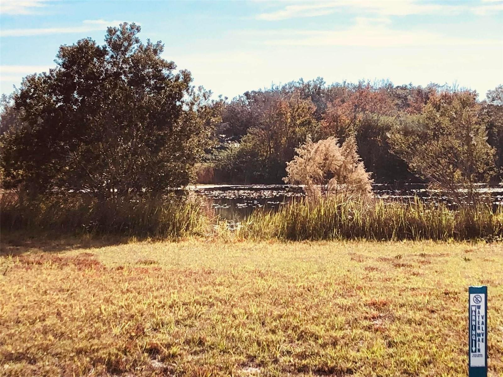 AVON PARK LAKES - Land