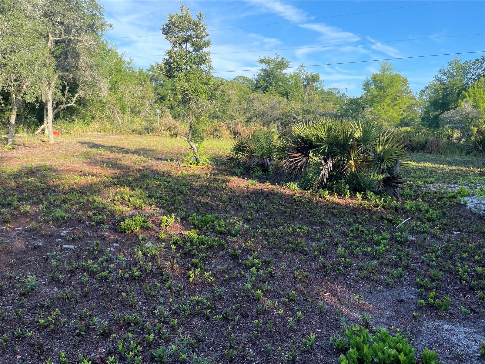 AVON PARK LAKES - Land