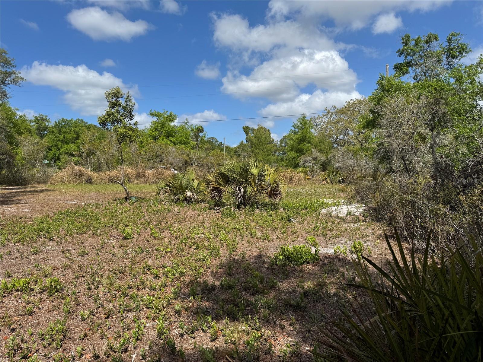 AVON PARK LAKES - Land