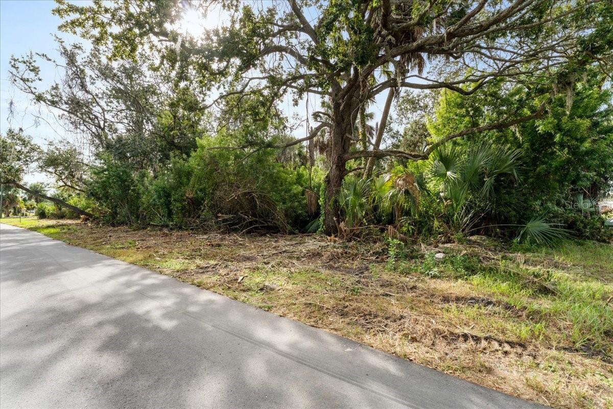 Exceptional investment opportunity near New Port Richey’s transformative waterfront redevelopment. This prime 0.31-acre parcel, zoned R2, offers outstanding potential for residential development, whether you envision a single-family home or a duplex. Ideally located adjacent to the city’s $40 million Riverside Inn redevelopment, your future build will sit alongside one of the region’s most ambitious projects. The Downtown and Highway 19 Corridor Master Plan is reshaping the area into a vibrant, walkable, mixed-use waterfront district featuring luxury condominium towers, a boutique hotel, retail and dining options, a marina, waterfront recreation, and beautifully enhanced streetscapes. This flat, buildable lot provides easy access to utilities and major roads and offers close proximity to the Cotee River, Sims Park, and exciting new mixed-use amenities. Located in the heart of a designated redevelopment zone, property values in this area continue to rise with strong city investment and development incentives. Whether you plan to build to live, rent, or sell, this property places you at the center of New Port Richey’s most exciting urban renewal, offering exceptional long-term growth potential in a waterfront community on Florida’s Gulf Coast. Seller also owns parcel to the east and is willing to do package deal. Driving Directions From US 19, Cedar Ln, right on Pier Rd. left on November St. Property will be on the left and corner of November St and Carpenter St.