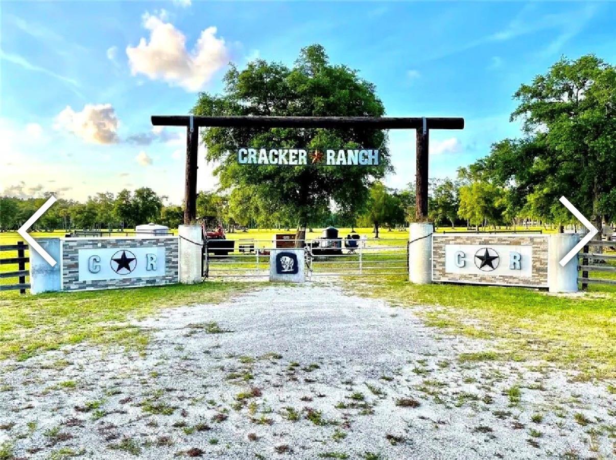CHRISTMAS PARK - Land