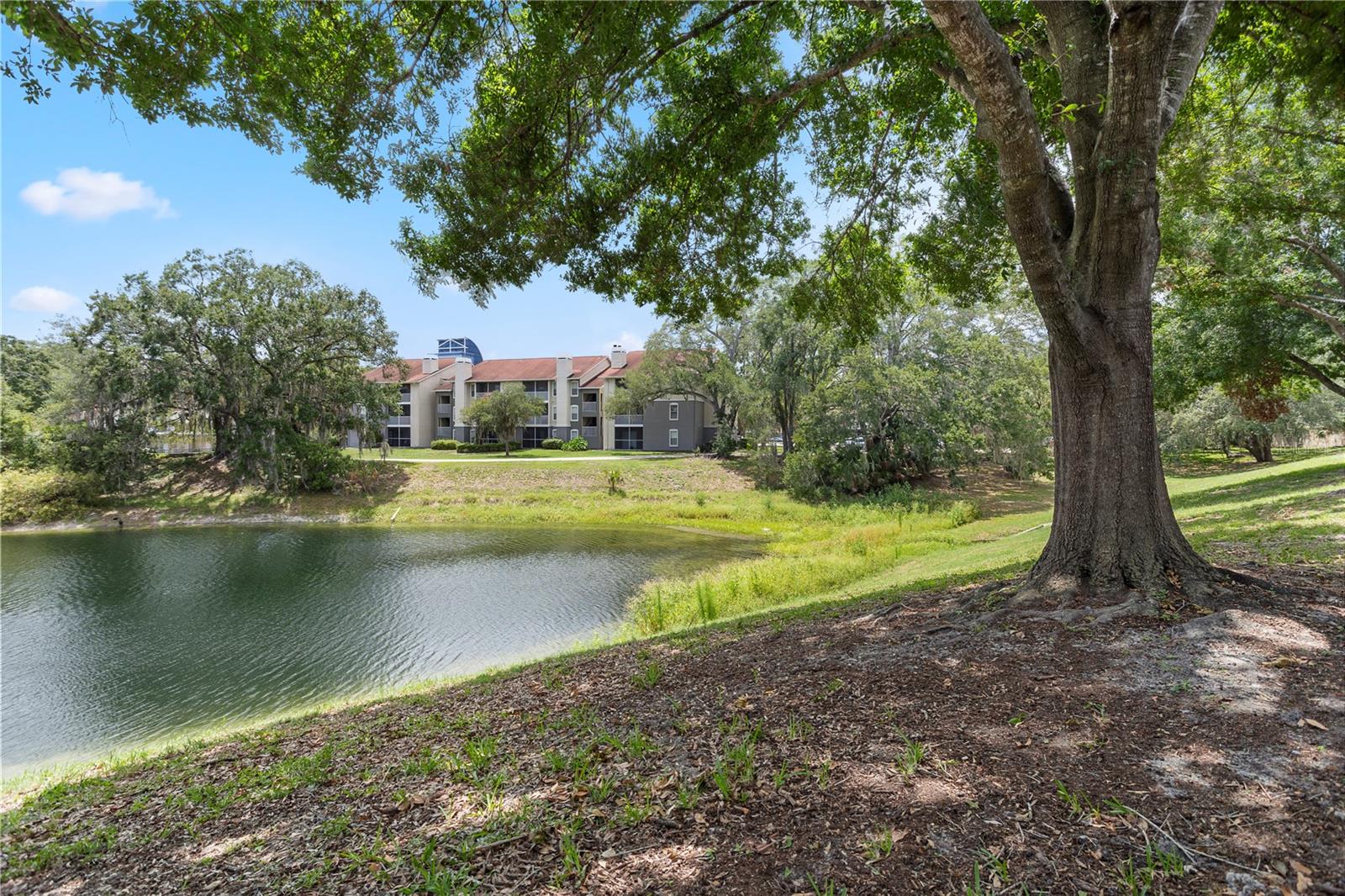 CRANES ROOST CONDO - Residential