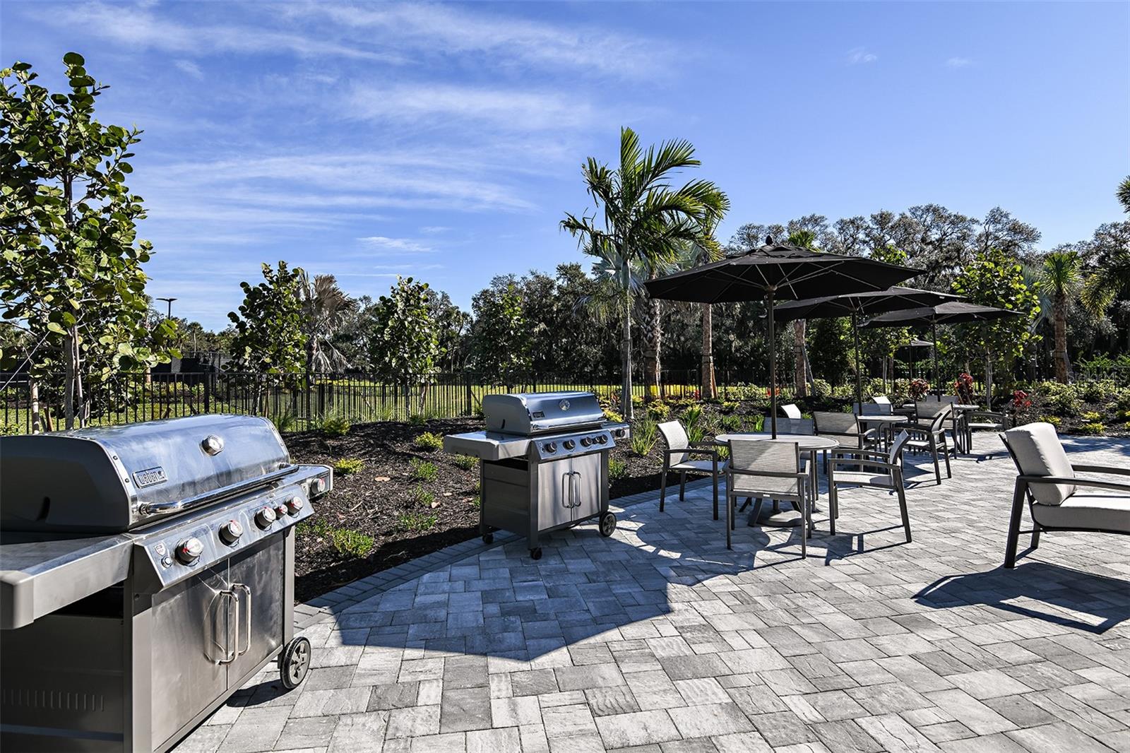 CASSIA AT SKYE RANCH - Residential