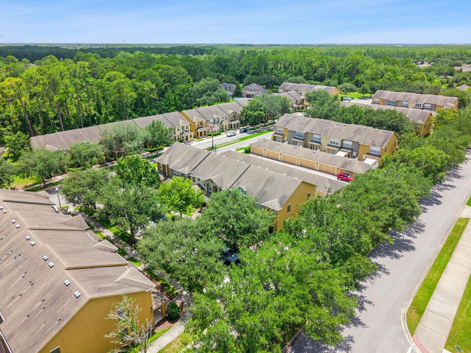 LAKE SAWYER SOUTH PH 03 - Residential