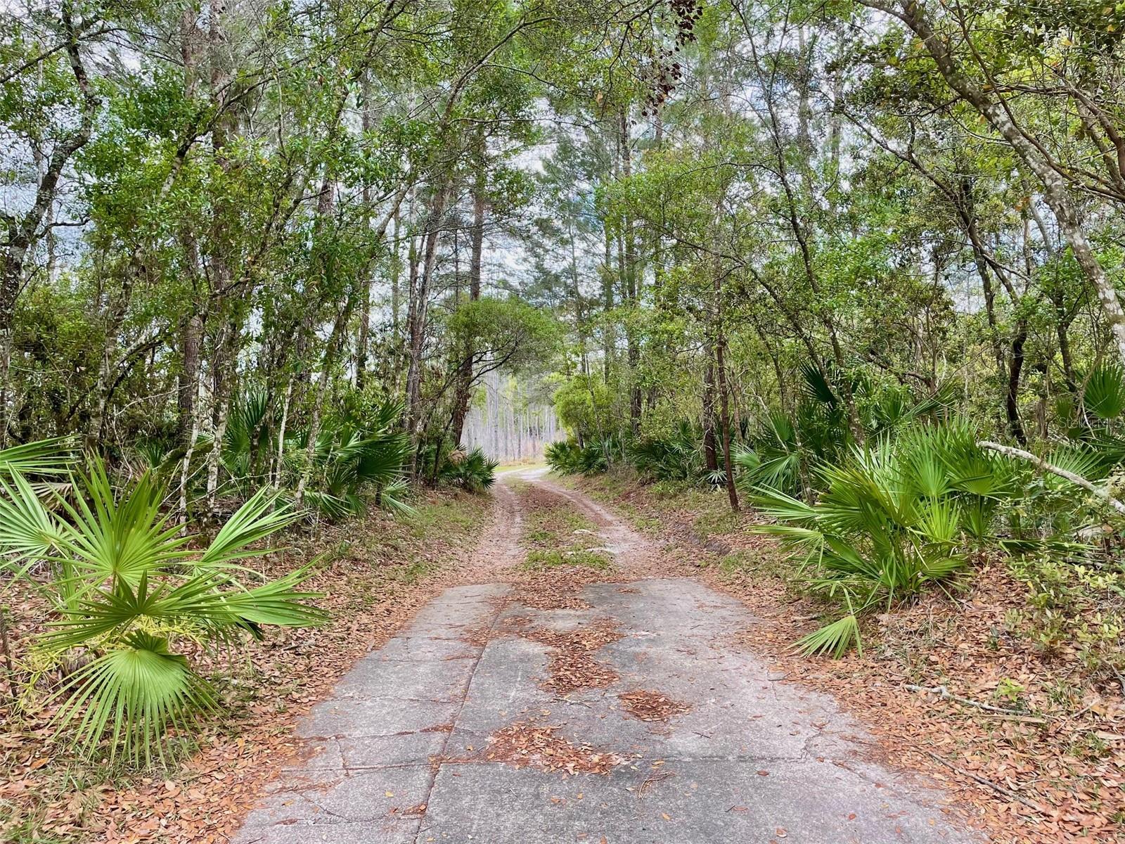 SEMINOLE WOODS 5 AC DEV - Residential