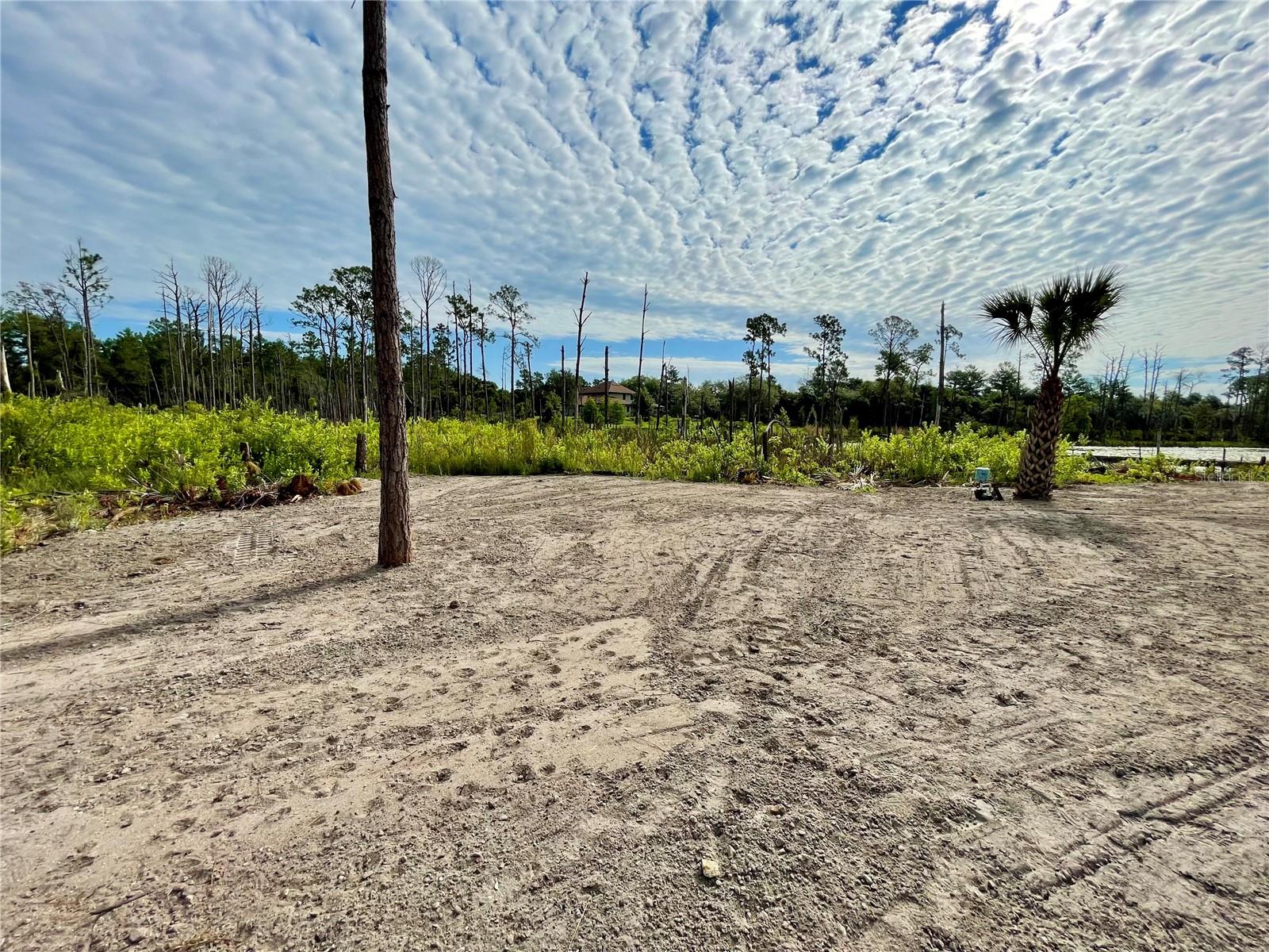 SEMINOLE WOODS 5 AC DEV - Residential