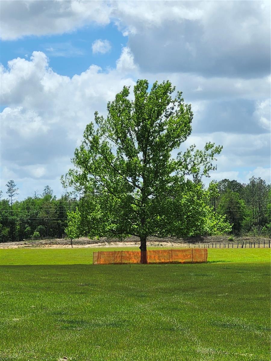 CHRISTIAN ROAD ESTATES - Land
