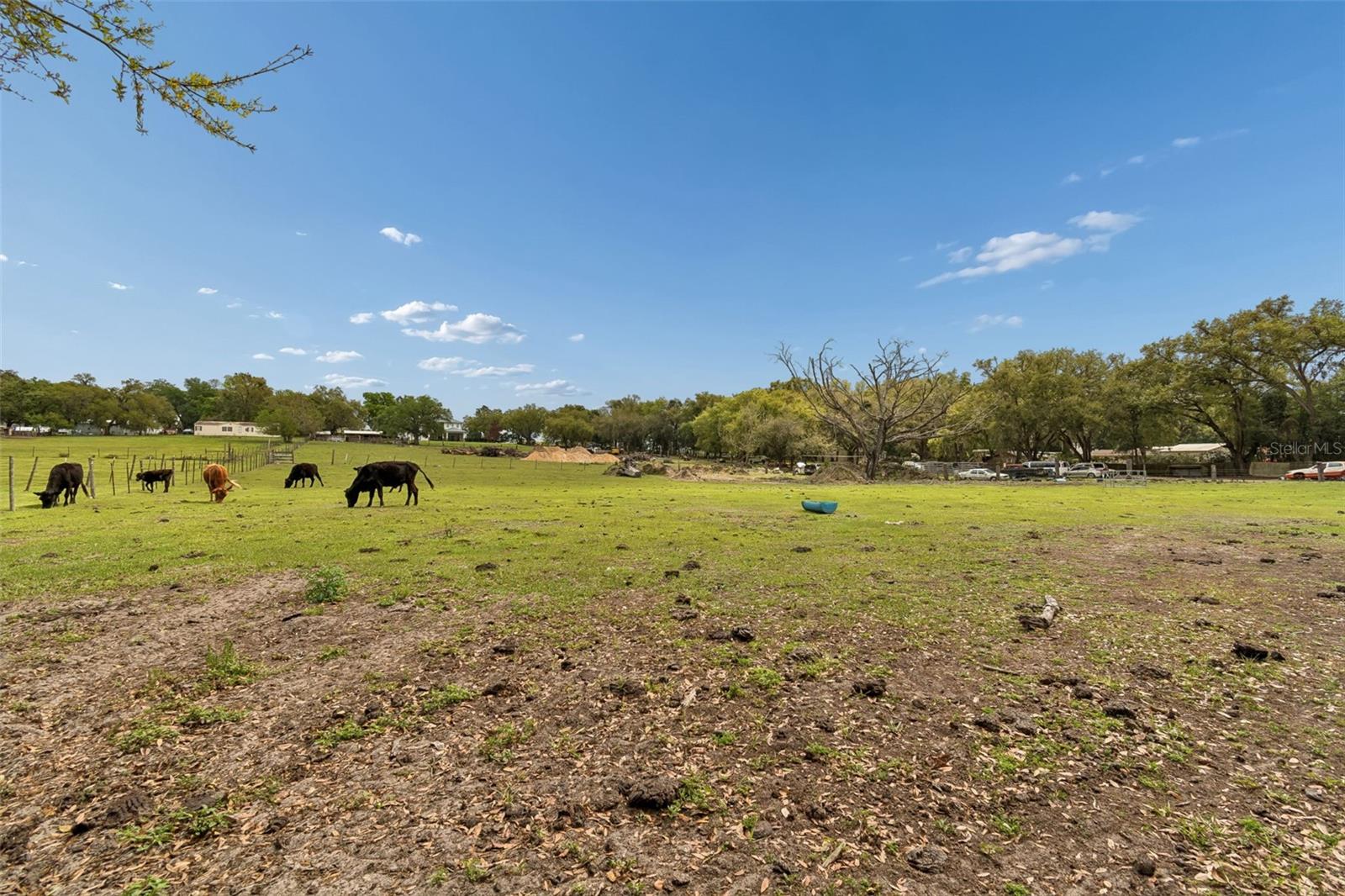 ZEPHYRHILLS COLONY CO - Residential