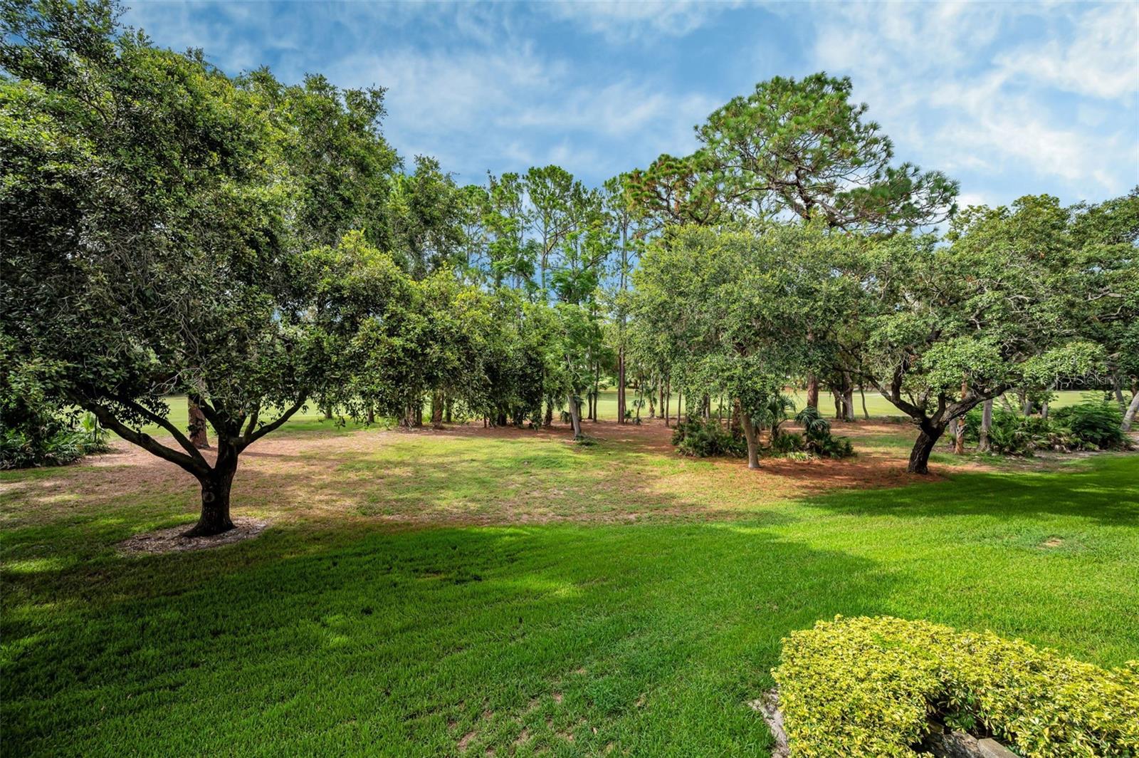 INNISBROOK - Residential
