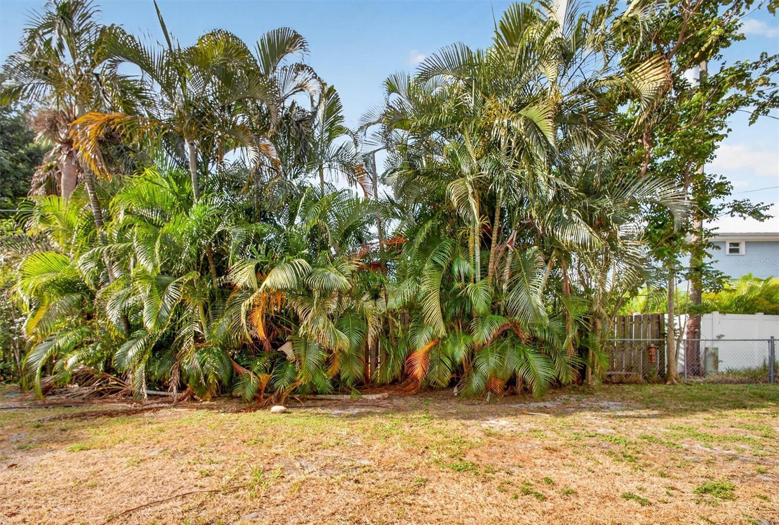 ALLEN PARK - Residential