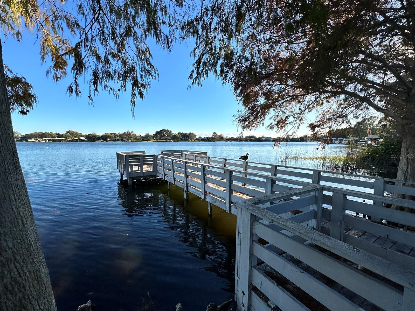 LAMPLIGHTER VILLAGE - Residential Lease