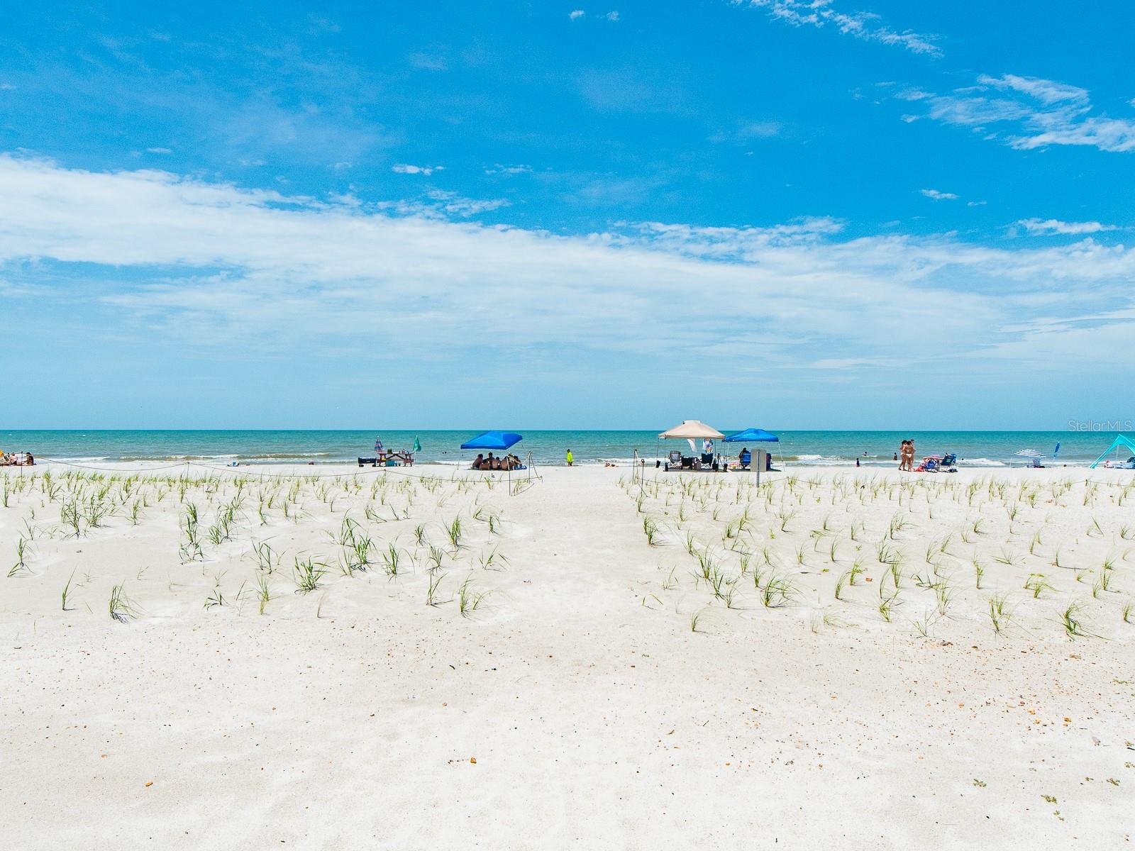 SEA CREST OF INDIAN SHORES CONDO - Residential