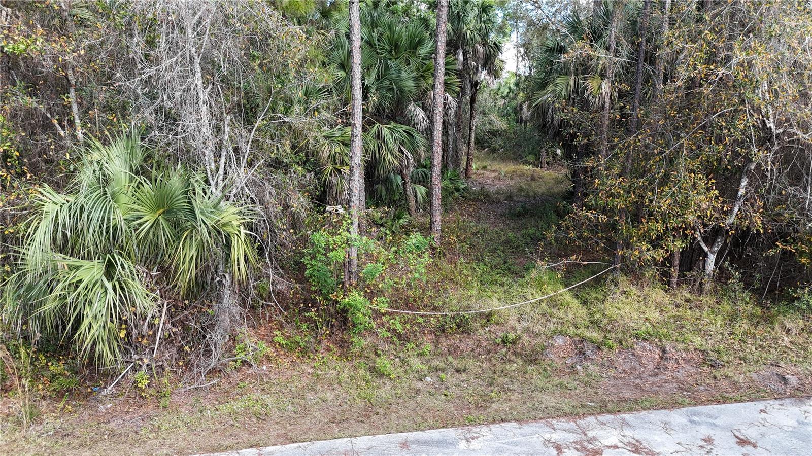 Parcel ID 41110880001 and Parcel ID 41110240007 consist of two adjoining tracts totaling approximately 5.62 acres in Collier County. The parcels measure approximately 4.48 acres and 1.14 acres and are being offered together as a combined property. Located at the end of a paved public road, the property benefits from a dead end setting with no through traffic beyond the site.



Access is provided by a paved road that runs directly to the front of the property. Electrical service is available at the road frontage, offering convenient access for future connection subject to utility provider requirements. The combination of paved access and nearby power may assist with planning for permitted improvements, subject to county regulations and approvals.



A DEP report indicates that almost all of the acreage is classified as uplands. Buyers are encouraged to review all available documentation and verify environmental conditions, land use regulations, and permitting requirements with the appropriate local and state agencies. All acreage figures and environmental classifications should be independently confirmed during due diligence.



The land is characterized by a natural setting that includes mature oak trees, pine trees, and cabbage palms dispersed throughout the property. Existing native vegetation provides shade and contributes to a wooded landscape. The mixture of uplands and established tree growth may offer flexibility for site planning, subject to Collier County regulations and required approvals.



The total 5.62 acres provide space for a range of potential uses allowed under current zoning and Collier County guidelines. The configuration of two separate parcel numbers may offer additional planning considerations for future use, subject to county approval and compliance with subdivision and development standards.



The dead end road location reduces pass through traffic and results in limited vehicle activity in the immediate area. This positioning may appeal to those seeking a property with minimal roadway exposure compared to parcels located along primary corridors.



The property is situated within driving distance of Naples, which provides access to shopping, dining, medical facilities, and employment centers. It is also accessible to Immokalee and other areas within the county.



This offering includes two contiguous parcels totaling 5.62 acres, paved road frontage, available power at the road, mature oak and pine trees, cabbage palms, and a DEP report indicating predominantly uplands. Prospective buyers should conduct their own inspections and verify zoning, environmental status, flood zone designation, and development standards with the appropriate authorities.



All information is believed to be accurate but should be independently verified by the buyer.