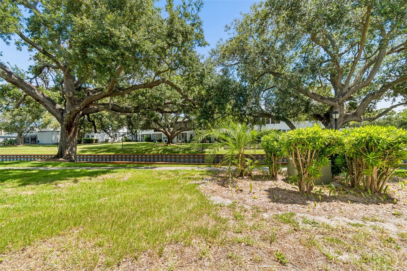 SEMINOLE GARDEN APTS CO-OP - Residential
