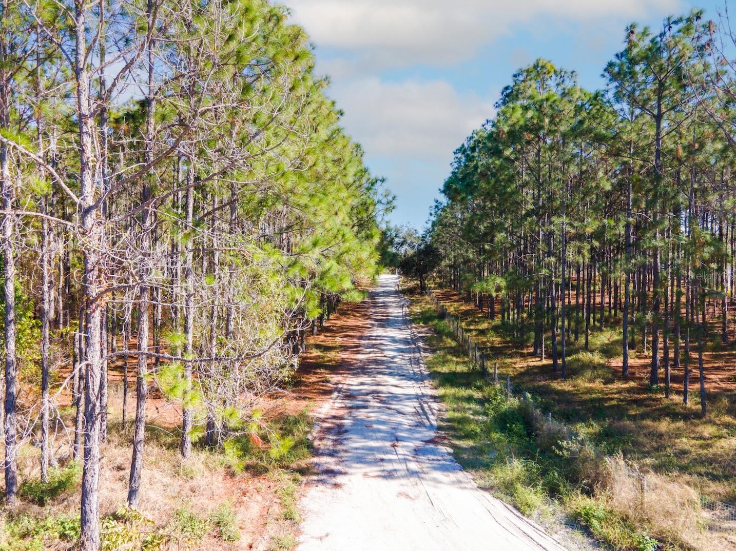 ACREAGE - Land