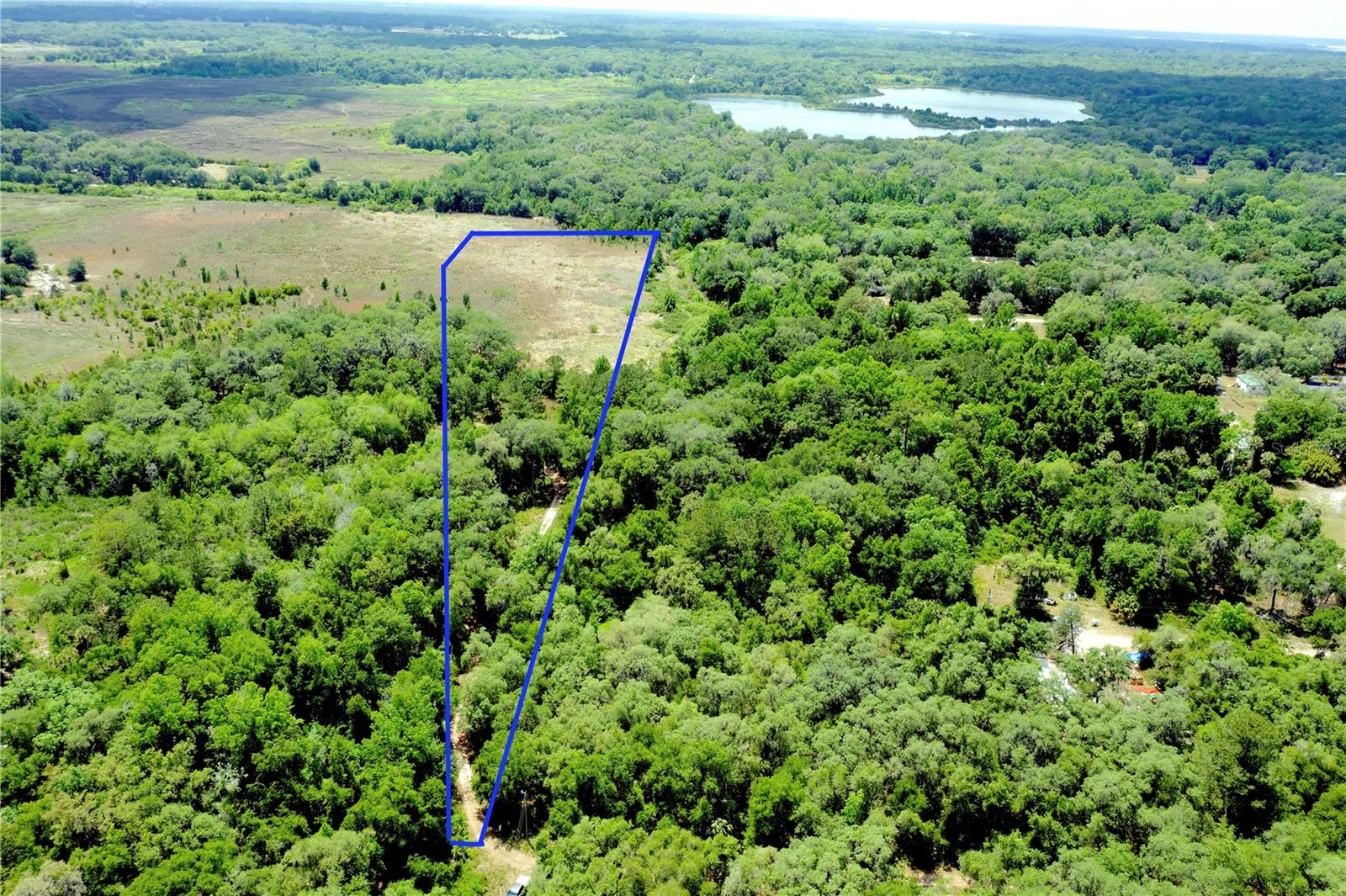 Secluded and private 8.89+/- acres. Couple acres are treed and remainder is pasture overlooking Black Sink Prairie. There is underground power nearby and this beautiful property is ready for new home. Citra, Florida is known as the home of the pineapple orange, (originally called the Hickory orange) a name coined in 1883 for an orange (fruit) with an aroma reminiscent of the pineapple. Citra has two buildings on the National Register of Historic Places: The Citra Methodist Episcopal Church and the Armstrong House. It is home to a University of Florida Institute of Food and Agricultural Sciences plant research facility. Some funs things to do include visiting Animal Rescue Sanctuary or stop by The Orange Shop for fresh squeezed Florida Orange Juice or some cool merchandise. Skunkie Acres offers horse back riding and every local loves visiting Crones Cradle Conserve with great outdoor gardens and country store full of local homemade foods and stuff. Located just short drive to Ocala or Gainesville, don't miss this great property surrounded by horse country.