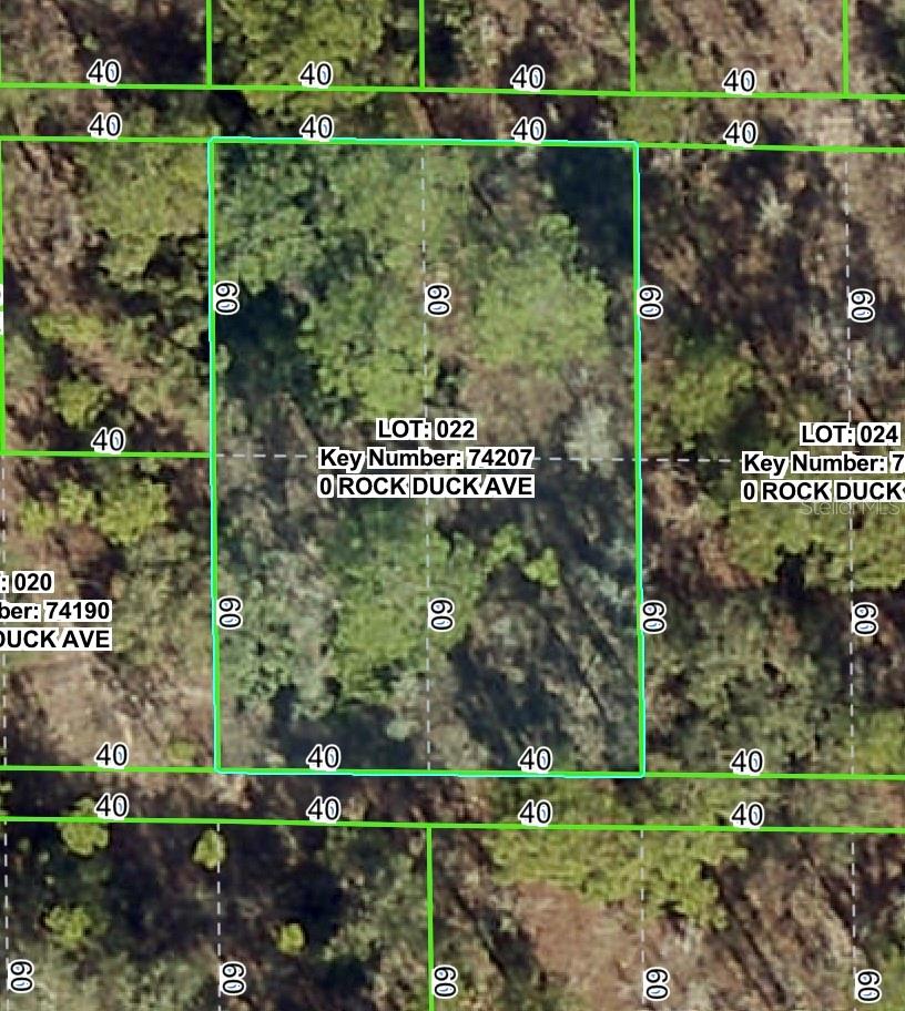 This .22 acre parcel that is the easement for the power lines. Zoned AR2. You cannot build on it...but you can play on it and use it for your enjoyment. Best buyer is a home-owner whose lot adjoins it or hold it for possible future investment.
The power company must have access to it at all times for maintenance. Cash only. The property is being transferred with a quit claim deed with no owner's title policy, and if the buyer wants any other deed or title policy, they have to pay for those closing costs
