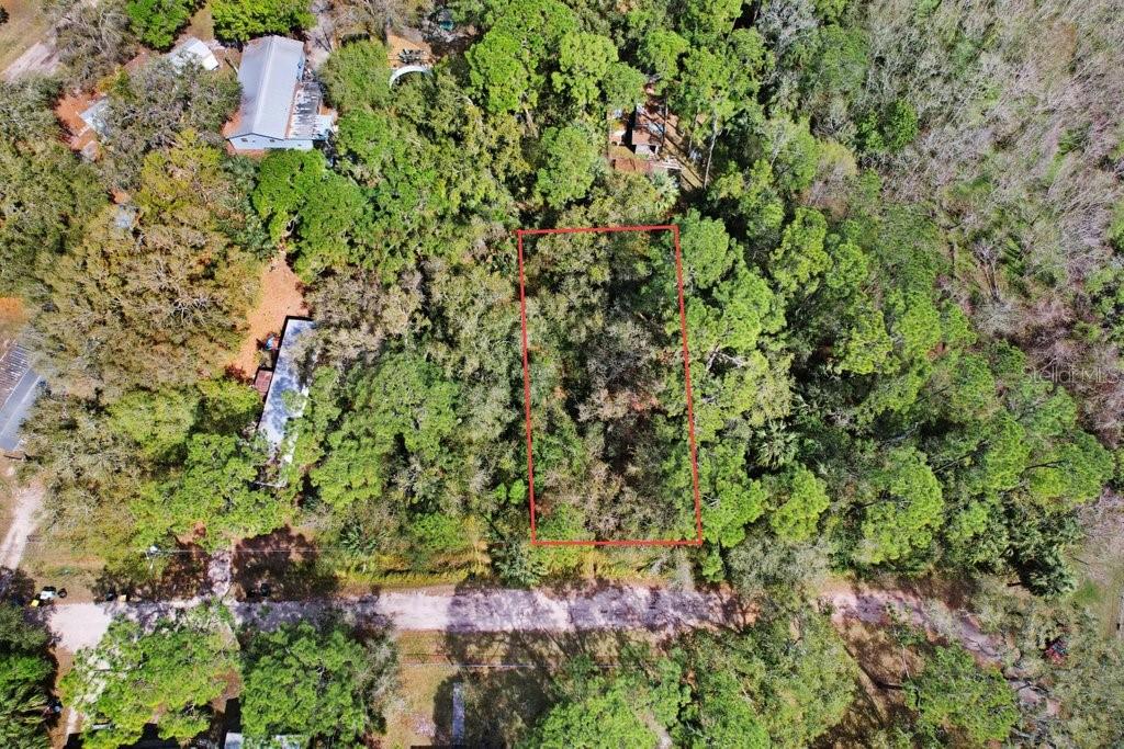 Prime, wooded .21-acre lot in the peaceful Tiotie Beach Estates for sale! This lot is located near scenic Lake Rosalie, an expansive lake offering boating and bass fishing, with public access available. Electricity is nearby, and the property is ready for your well and septic to complete the ideal dream home building site. Experience the charm of a close-knit neighborhood enjoyed by full-time residents and seasonal snowbirds alike, perfect for relaxed Florida living. THIS LOT AND NEIGHBORING LOT ARE BEING SOLD TOGETHER.