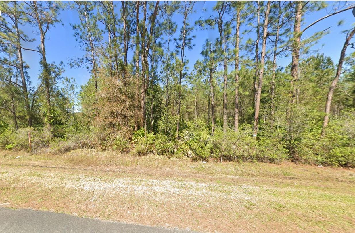 What a wonderful location! Seller is ready to part with this piece of country land. Just under 3 buildable acres with plenty of privacy buffer and only 13 miles to Flagler Beach. This could be the perfect place to call your Homestead or to visit as a Country Retreat. If you like privacy and space, then you may have just stumbled upon your paradise! A portion pf this parcel is Conservation, which means you and your neighbors can not clear cut these lots, keeping it natural and serene. Dry, non-flood zone land to fulfil your creative dreams, whether it's a home-based office, several garages for your toys, private estate style home, or just room to roam. This centrally located land is just 20 minutes from Saint Augustine and 35 minutes to Daytona. There are NO HOA fees but there are requirements of the size of home that can be built. Huge upside if you improve on this land. The neighbor just SOLD for $875,000!! Contact me for the document that outlines this. There are no manufactured homes allowed. This lot is 225 feet wide. There is a current environment study available. Call the county directly for land uses at 386-313-4069