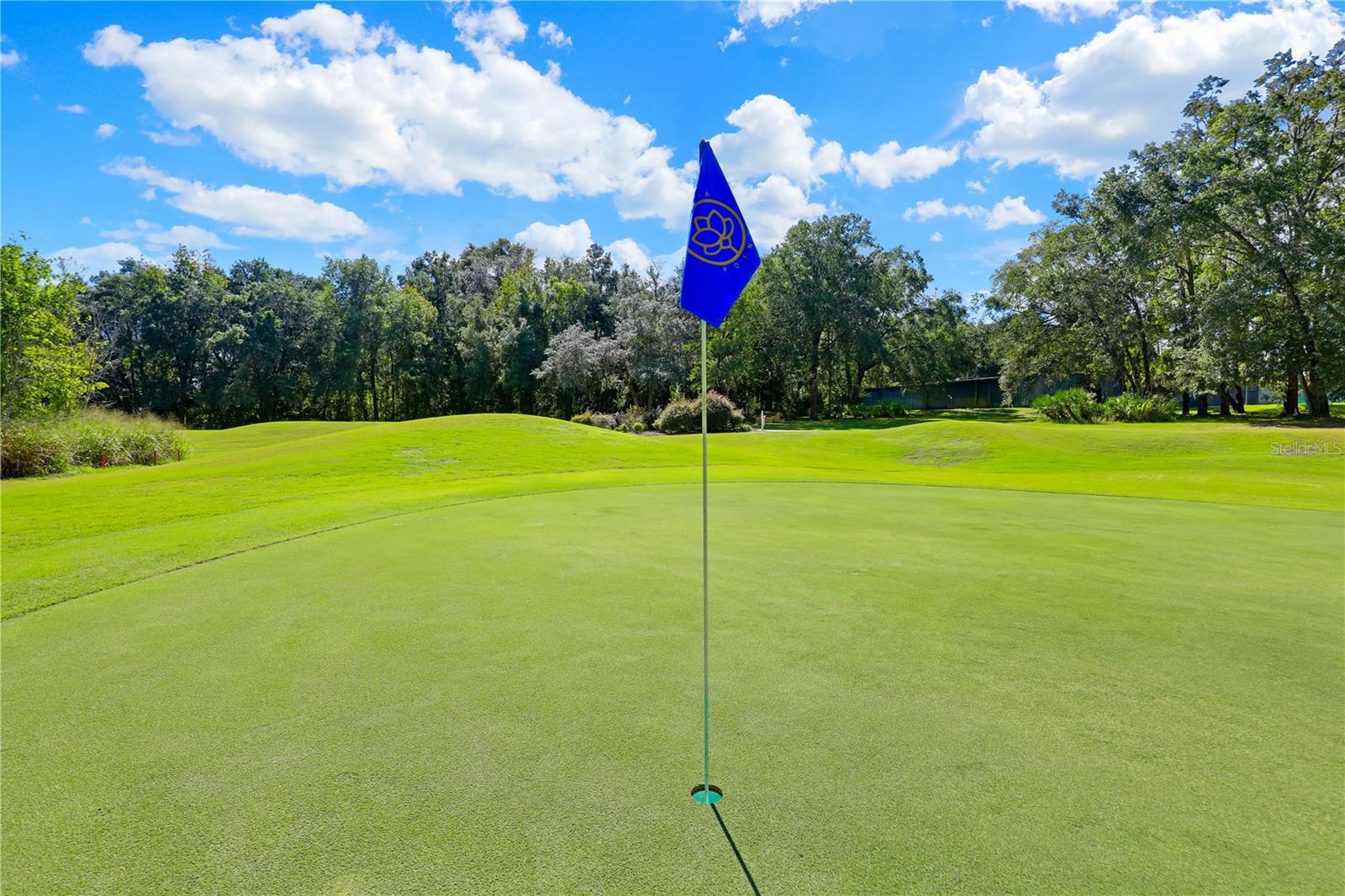 MAGNOLIA POINT GOLF - Residential