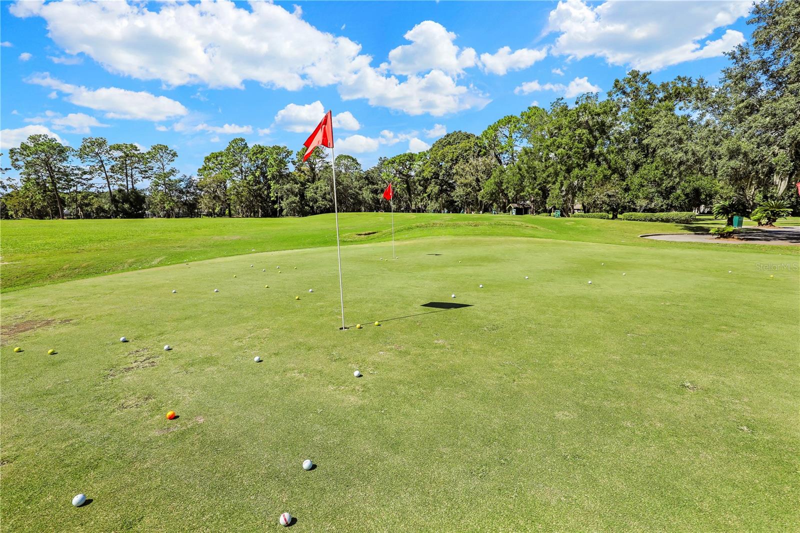 MAGNOLIA POINT GOLF - Residential