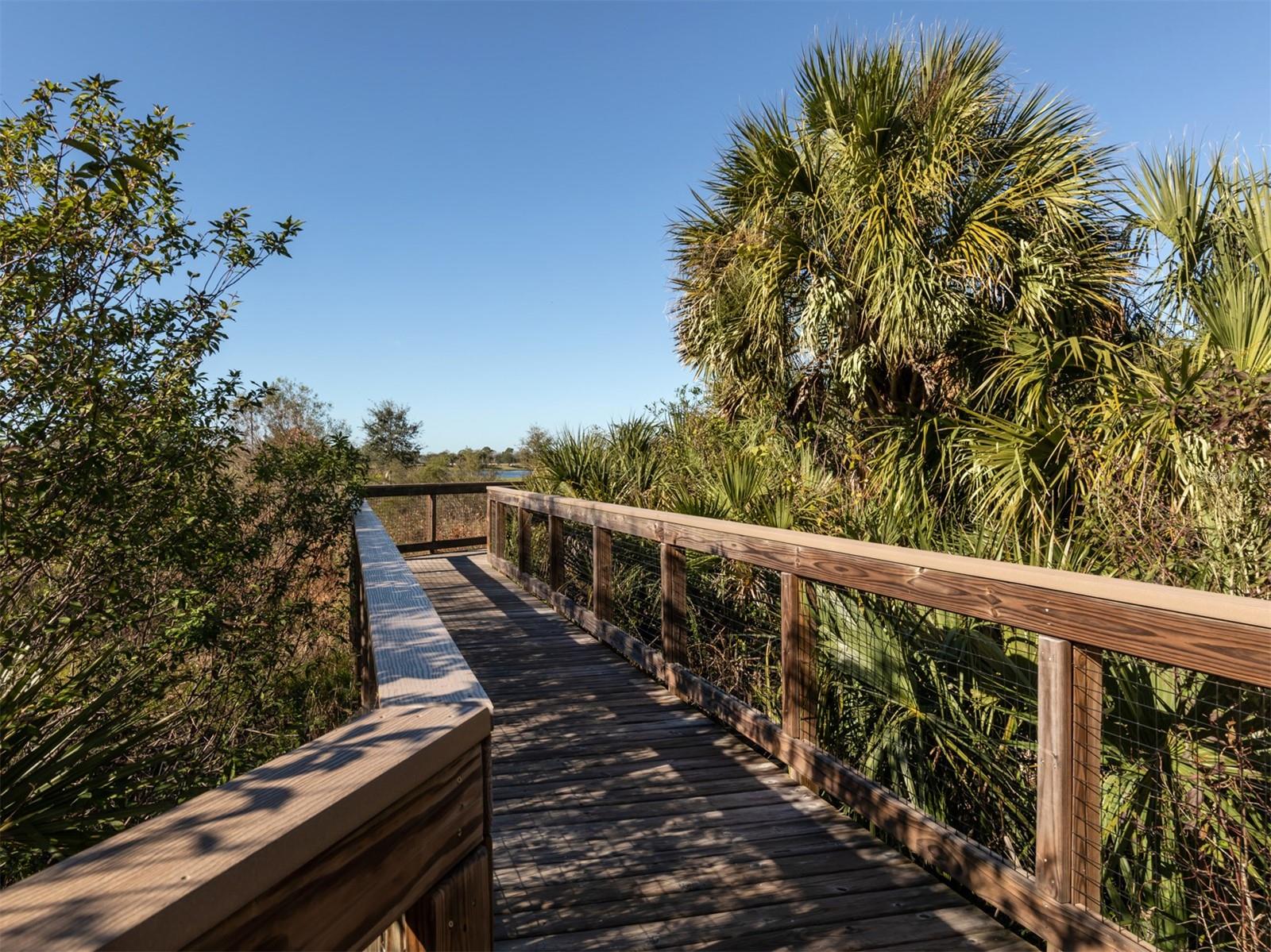 BELLACINA BY CASEY KEY - Residential