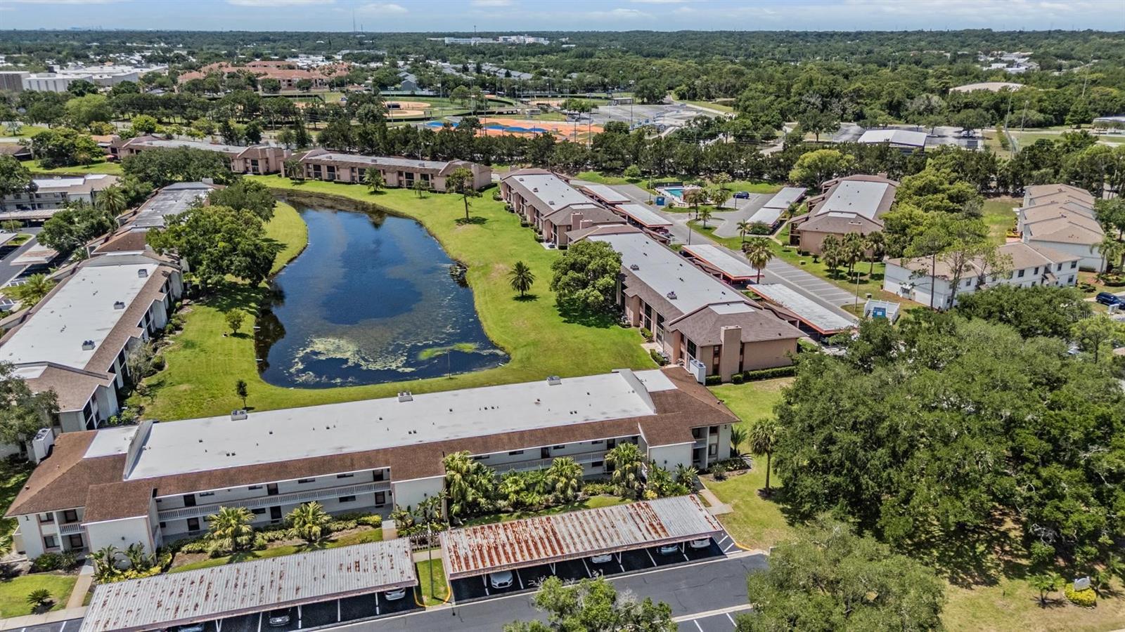 EAST LAKE WOODLANDS CONDO - Residential