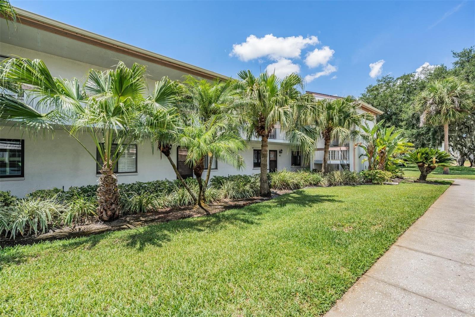 EAST LAKE WOODLANDS CONDO - Residential