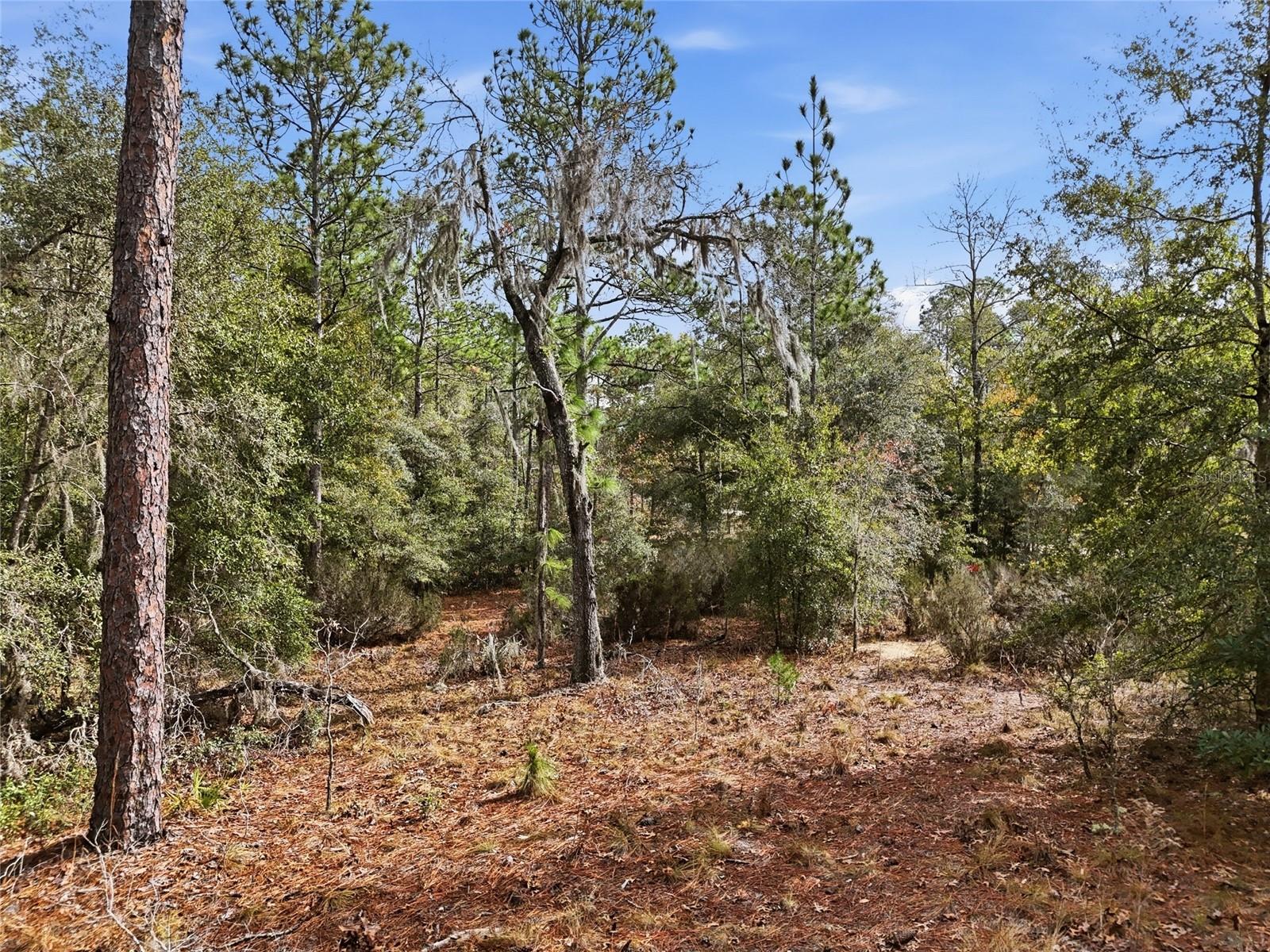 GREEN PATCH COUNTRY ESTATE - Land