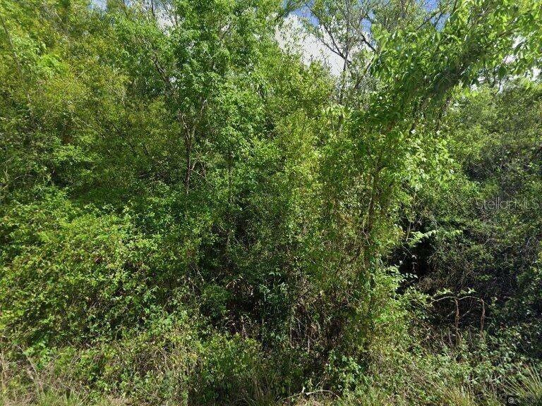 HORSE CREEK ACRES - Land