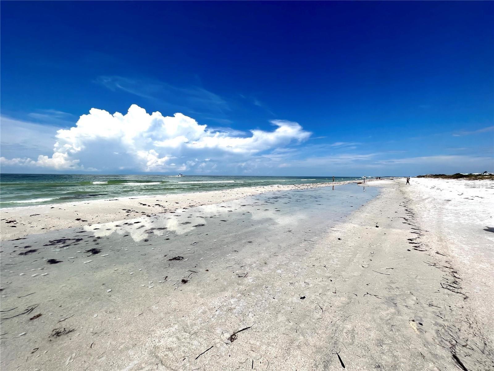 REGATTA BEACH CLUB CONDO - Residential