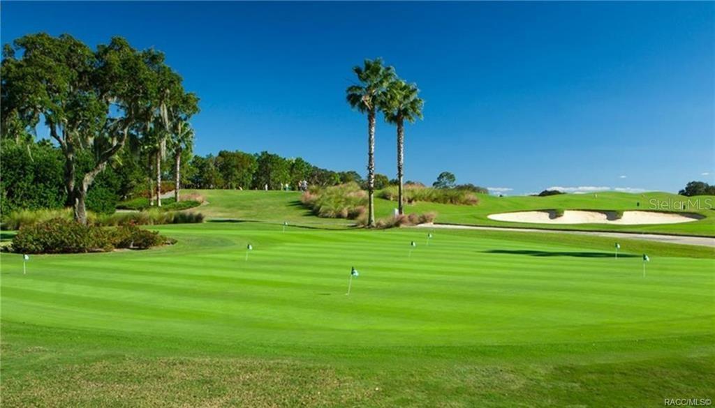 CITRUS HILLS - TERRA VISTA - Residential