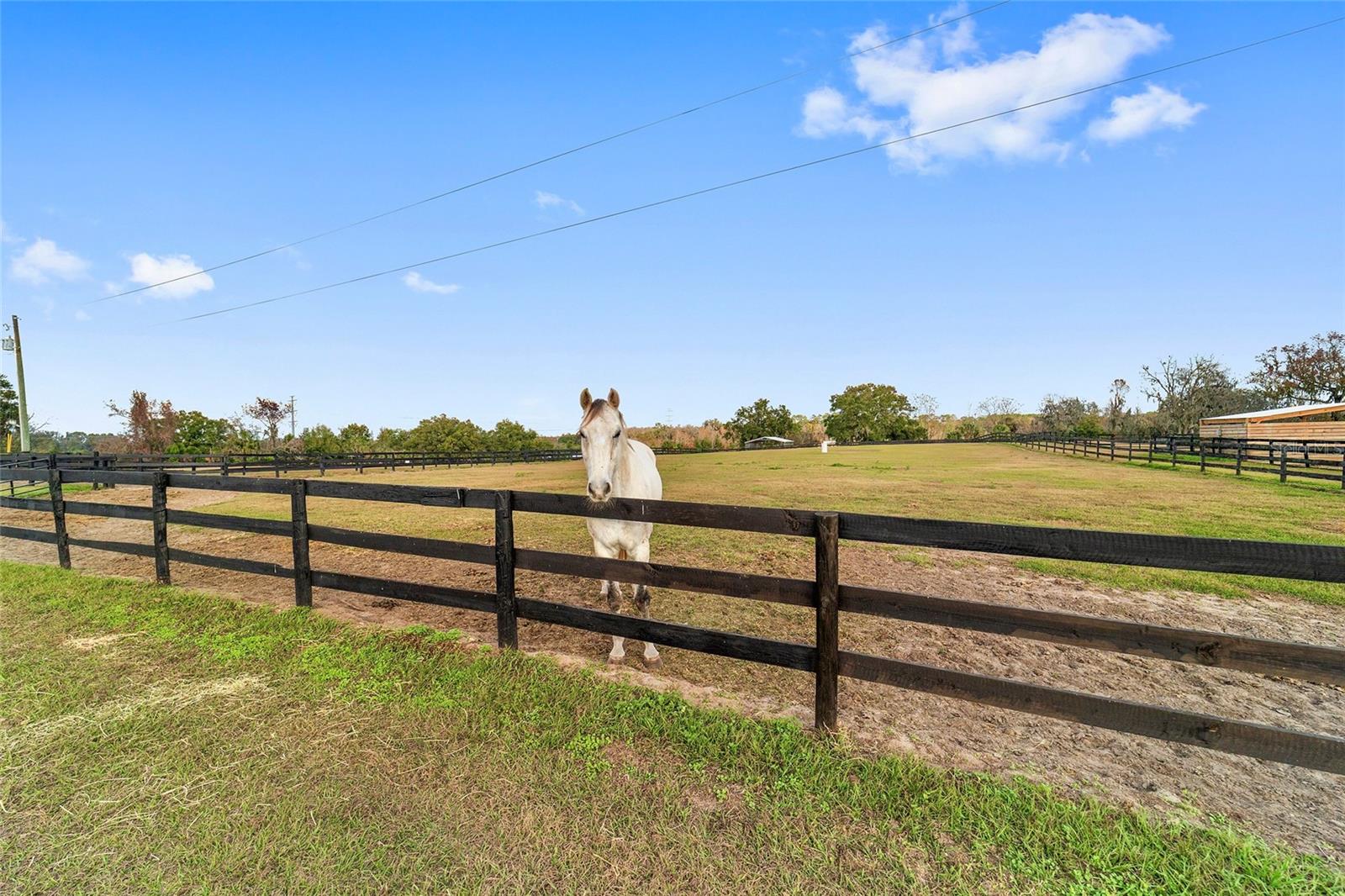 ACREAGE NON SUB - Residential