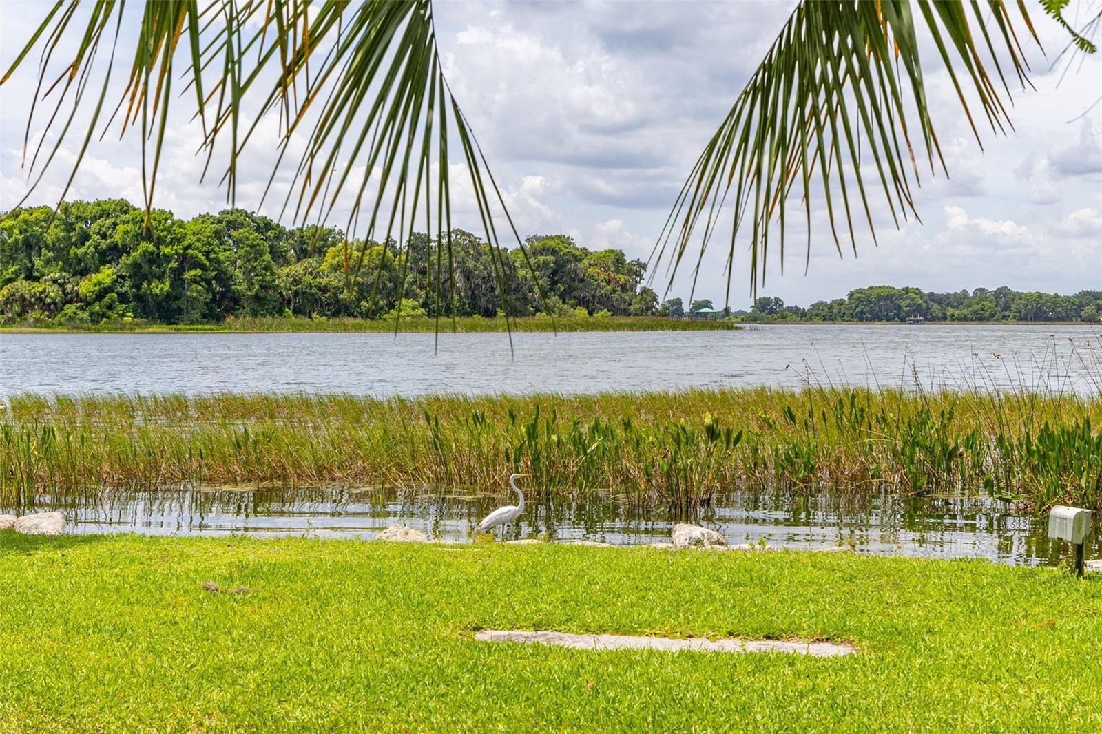 DORA LANDINGS - Residential