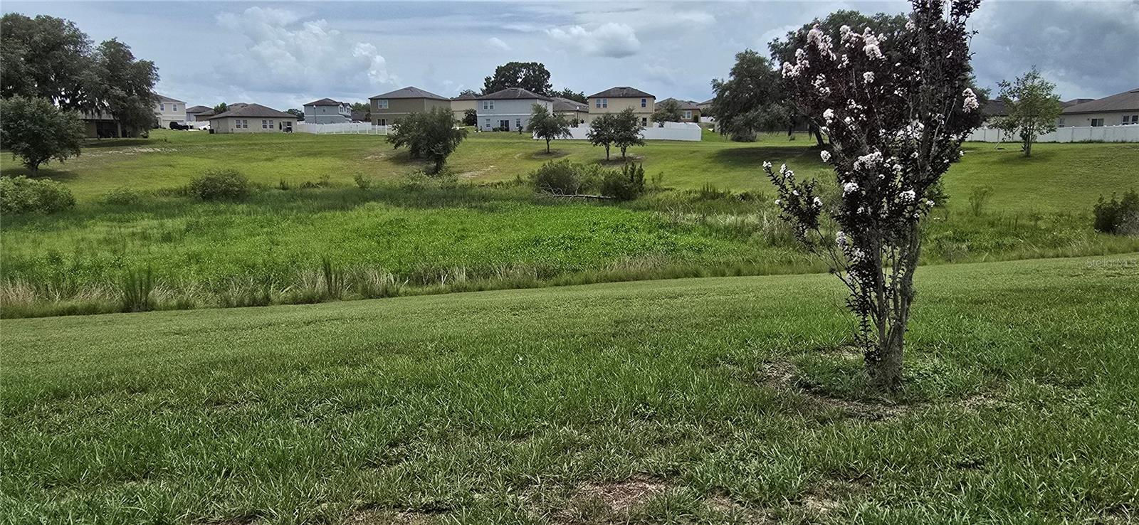 MASCOTTE SHEARWATER ESTATES - Residential Lease