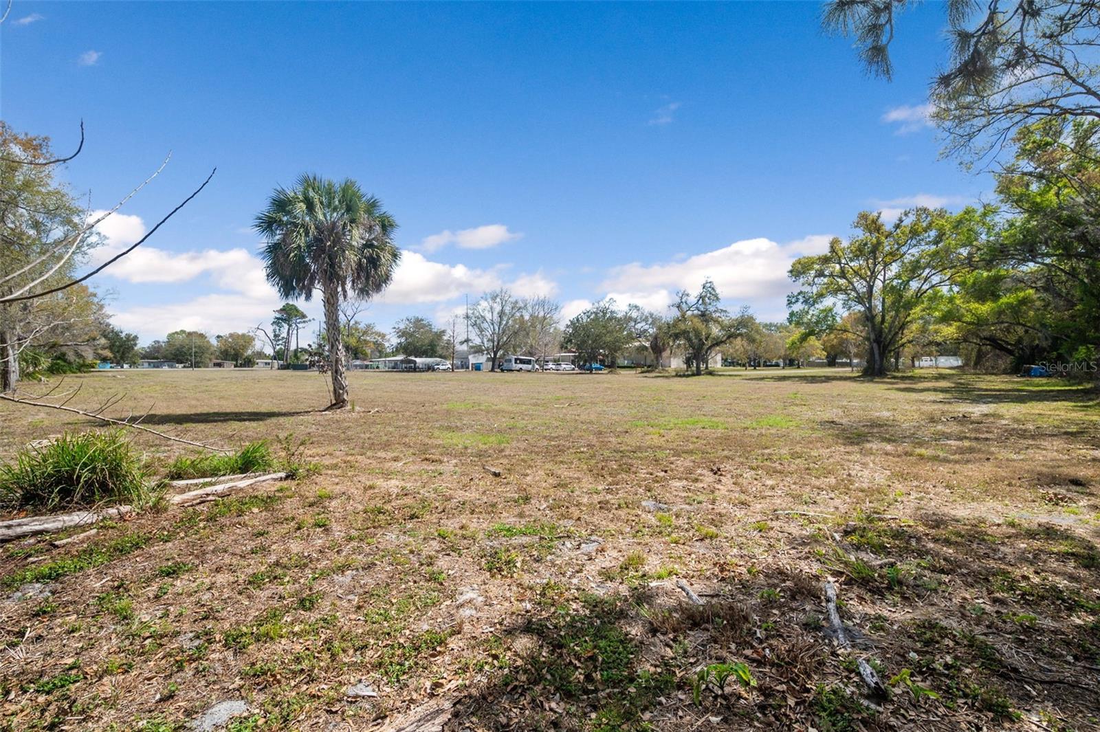 PINELLAS GROVES - Land