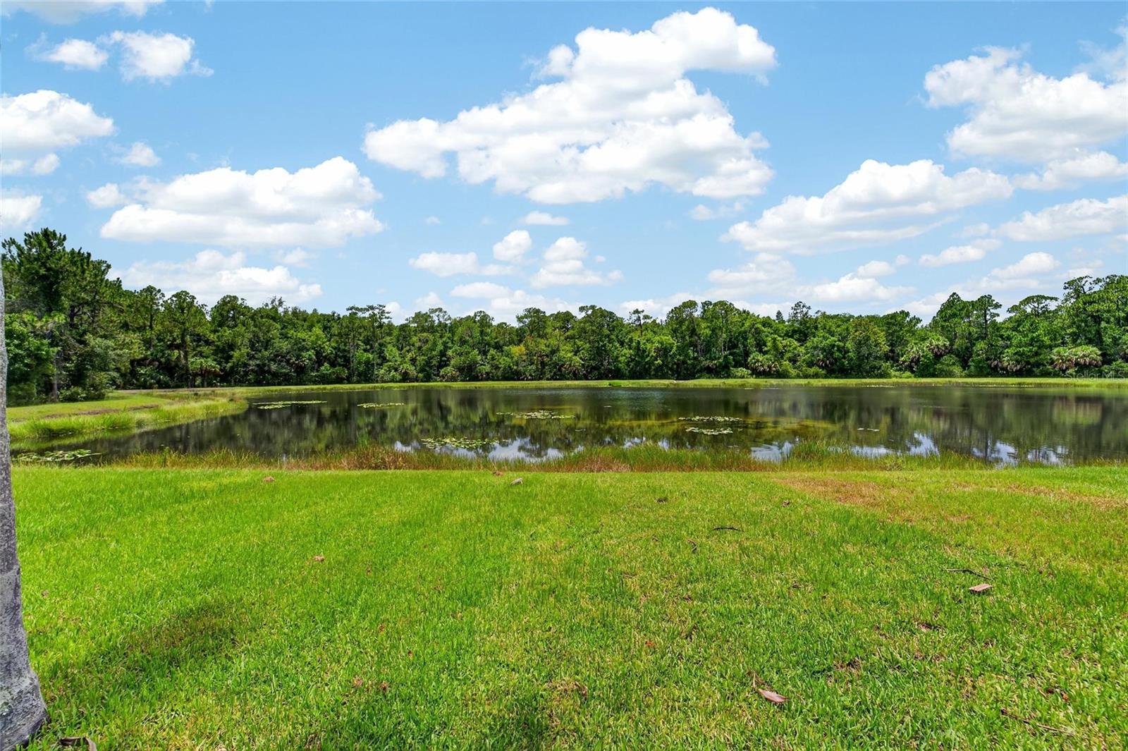 WEST MEADOWS PARCELS 12A 12B-1 - Residential