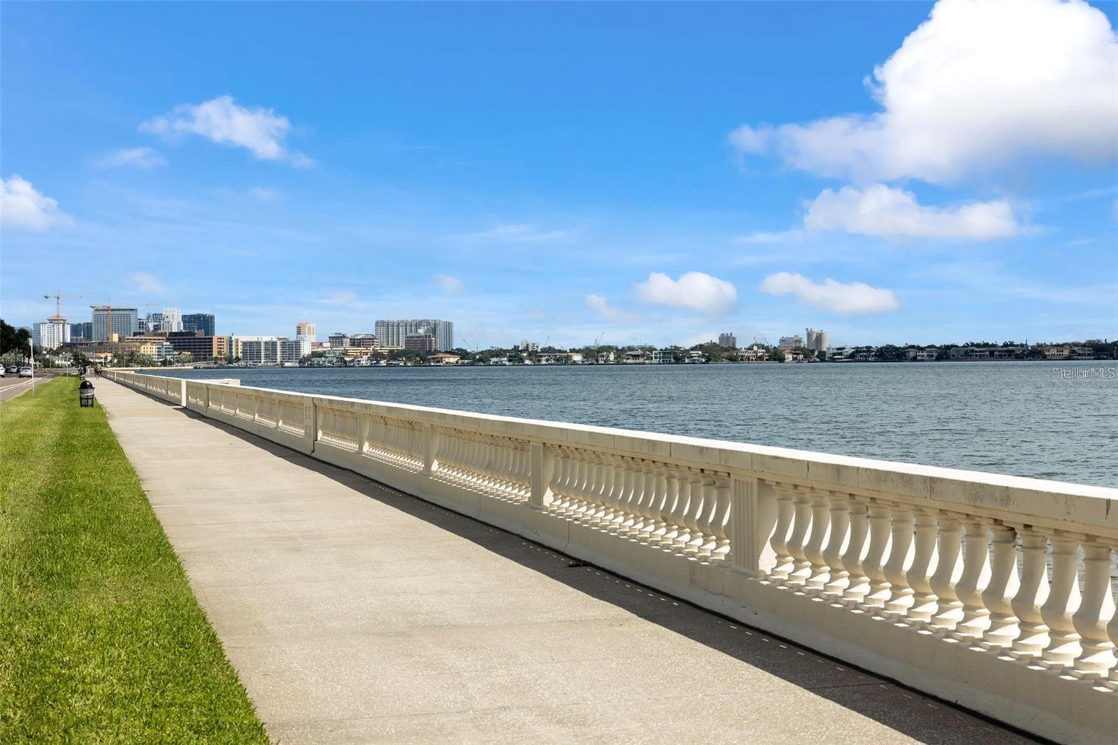 THE PINNACLE APTS A CONDO - Residential Lease