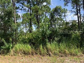 Extra Large triple wide lot in beautiful Placid Lakes. 30,000 sq ft with 240' of frontage!! Plenty of room for your large custom home and room for your toys as well. Seller is a Licensed Florida Real Estate Broker.