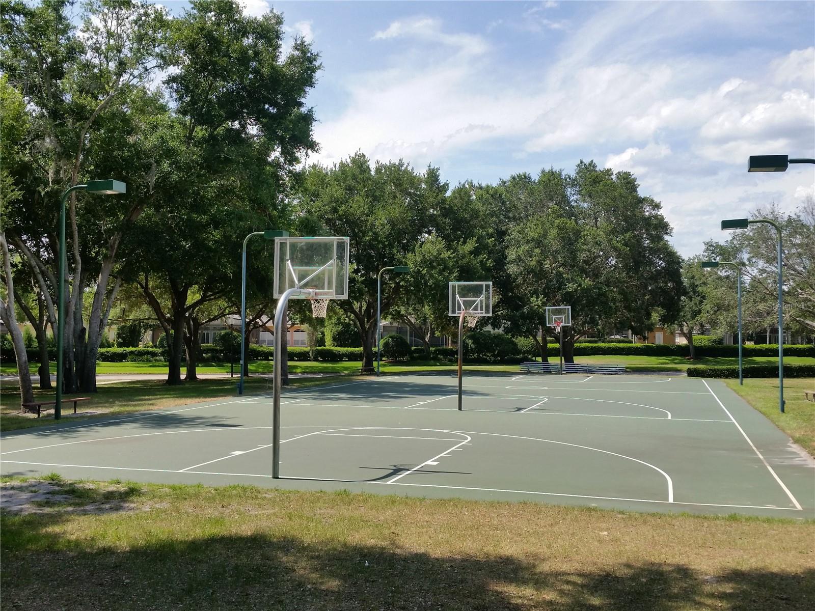HEATHROW/WILLOWBROOK VILLAGE - Residential